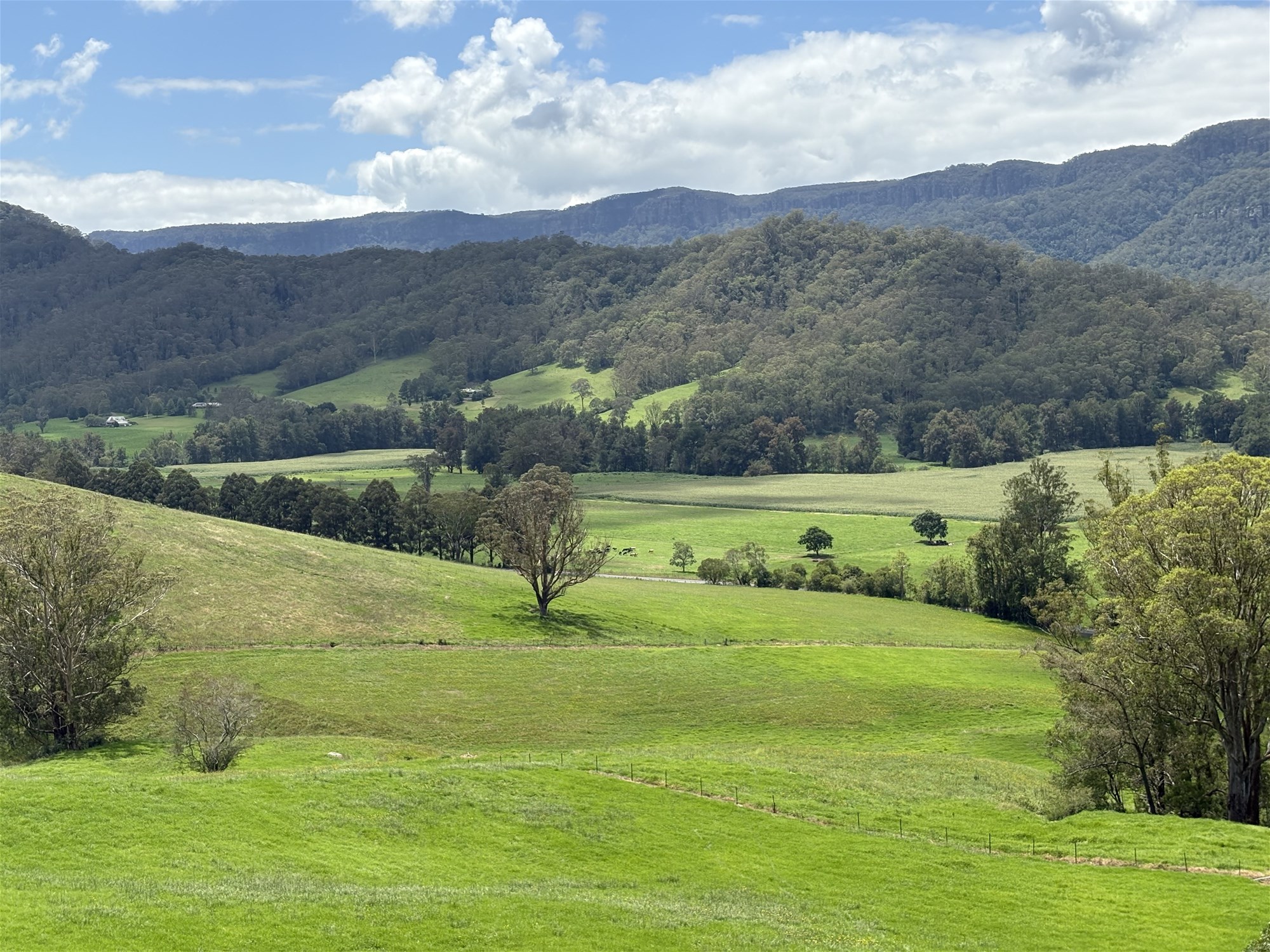 2393 Moss Vale Road, Kangaroo Valley For Sale by Farmbuy.com - image 11
