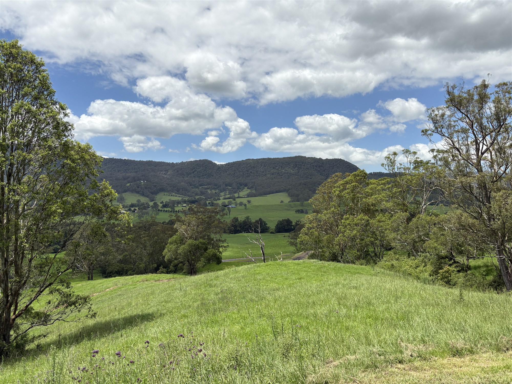 2393 Moss Vale Road, Kangaroo Valley For Sale by Farmbuy.com - image 13