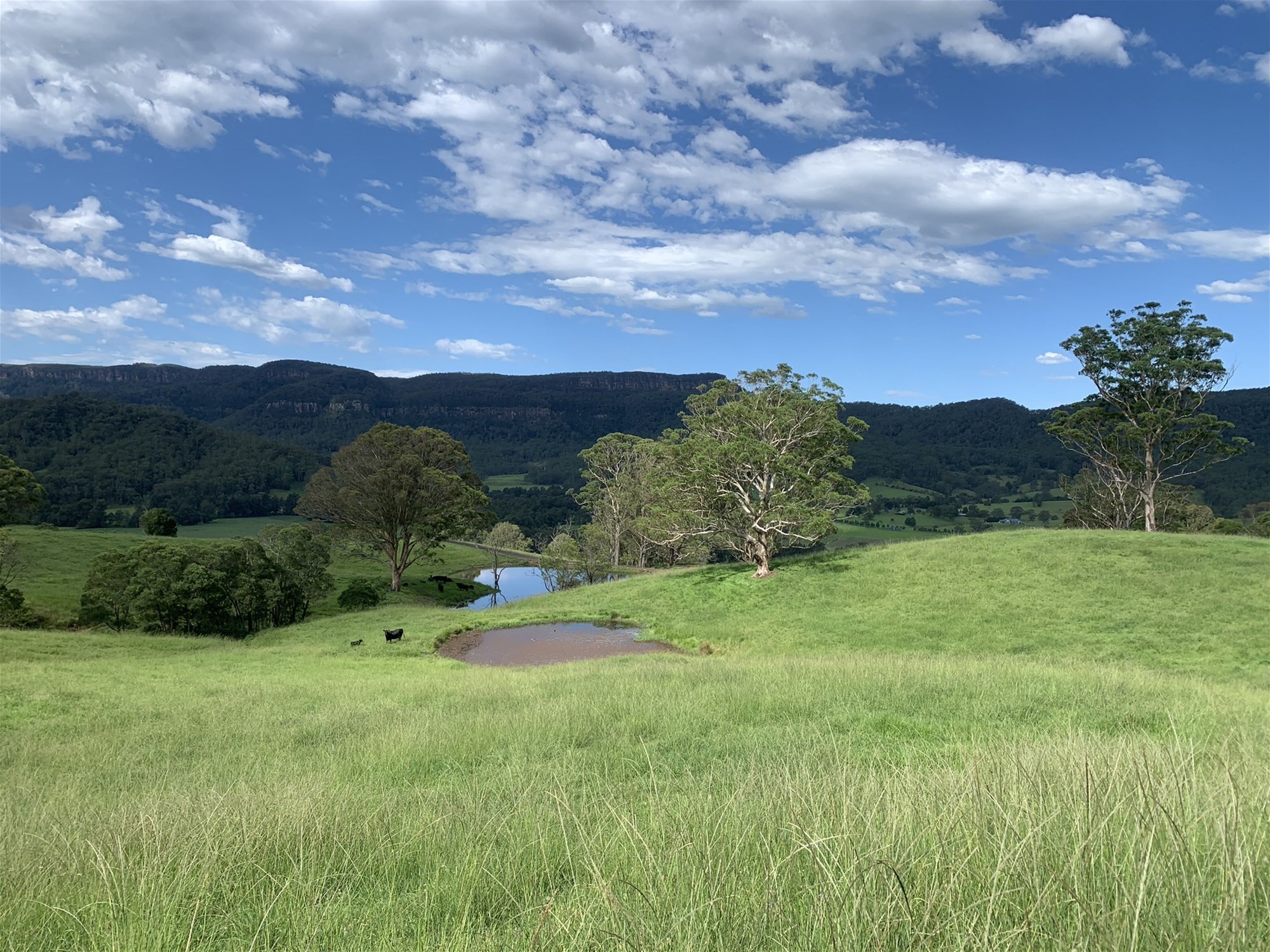 2393 Moss Vale Road, Kangaroo Valley For Sale by Farmbuy.com - image 33