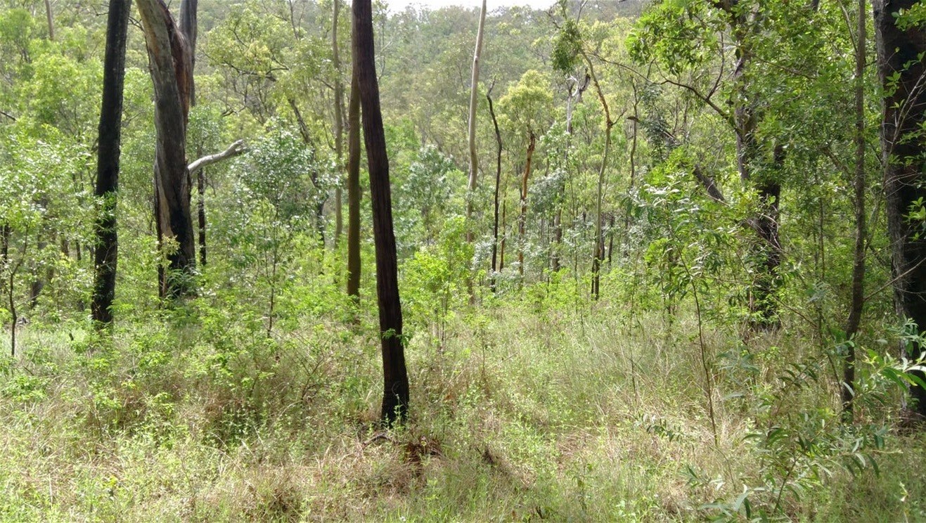 188 Doughboy Road, Gin Gin For Sale by Farmbuy.com - image 7