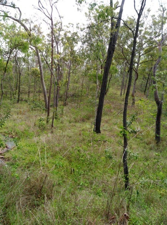 188 Doughboy Road, Gin Gin For Sale by Farmbuy.com - image 8