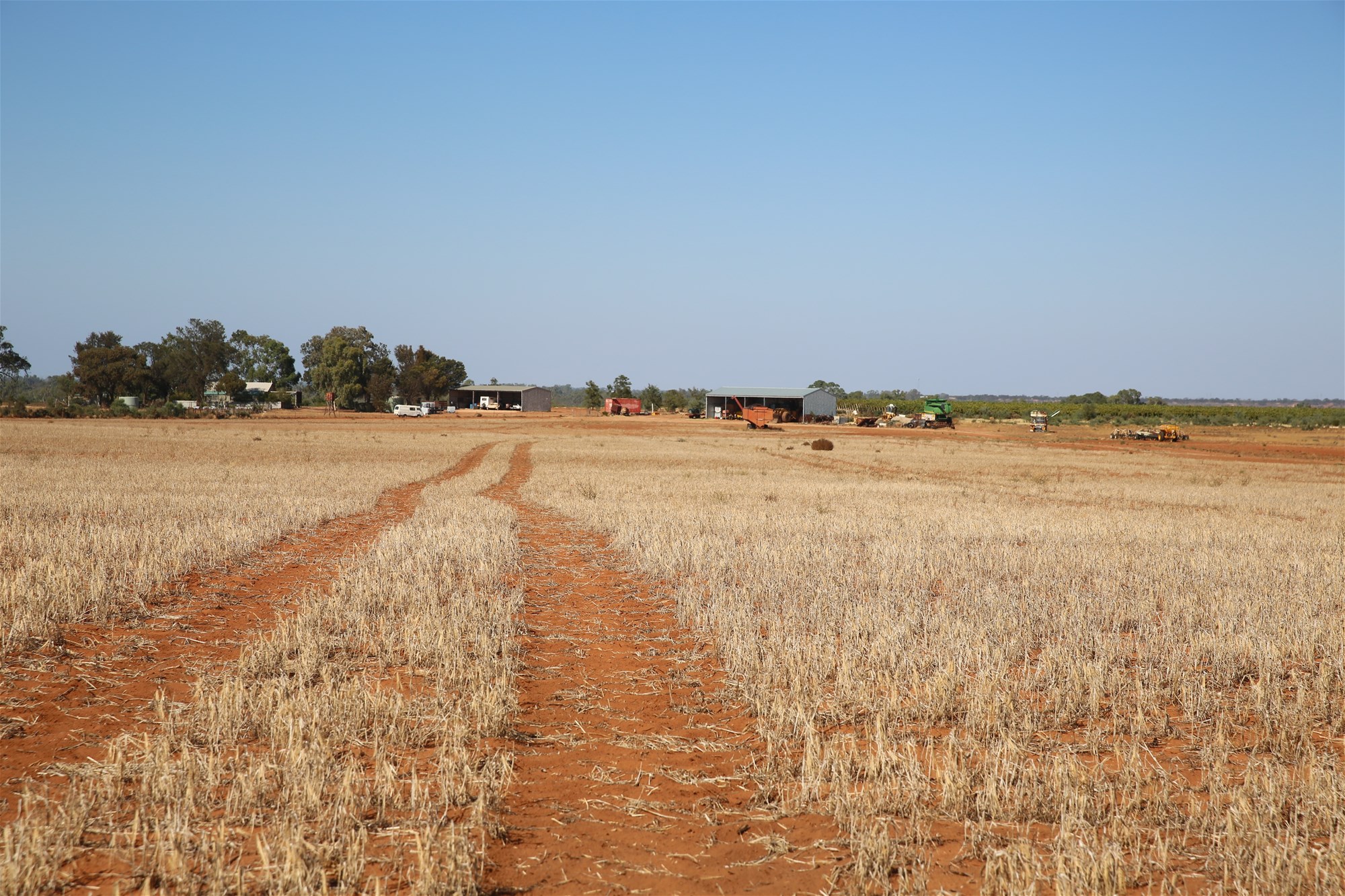 Monak For Sale by Farmbuy.com - image 11