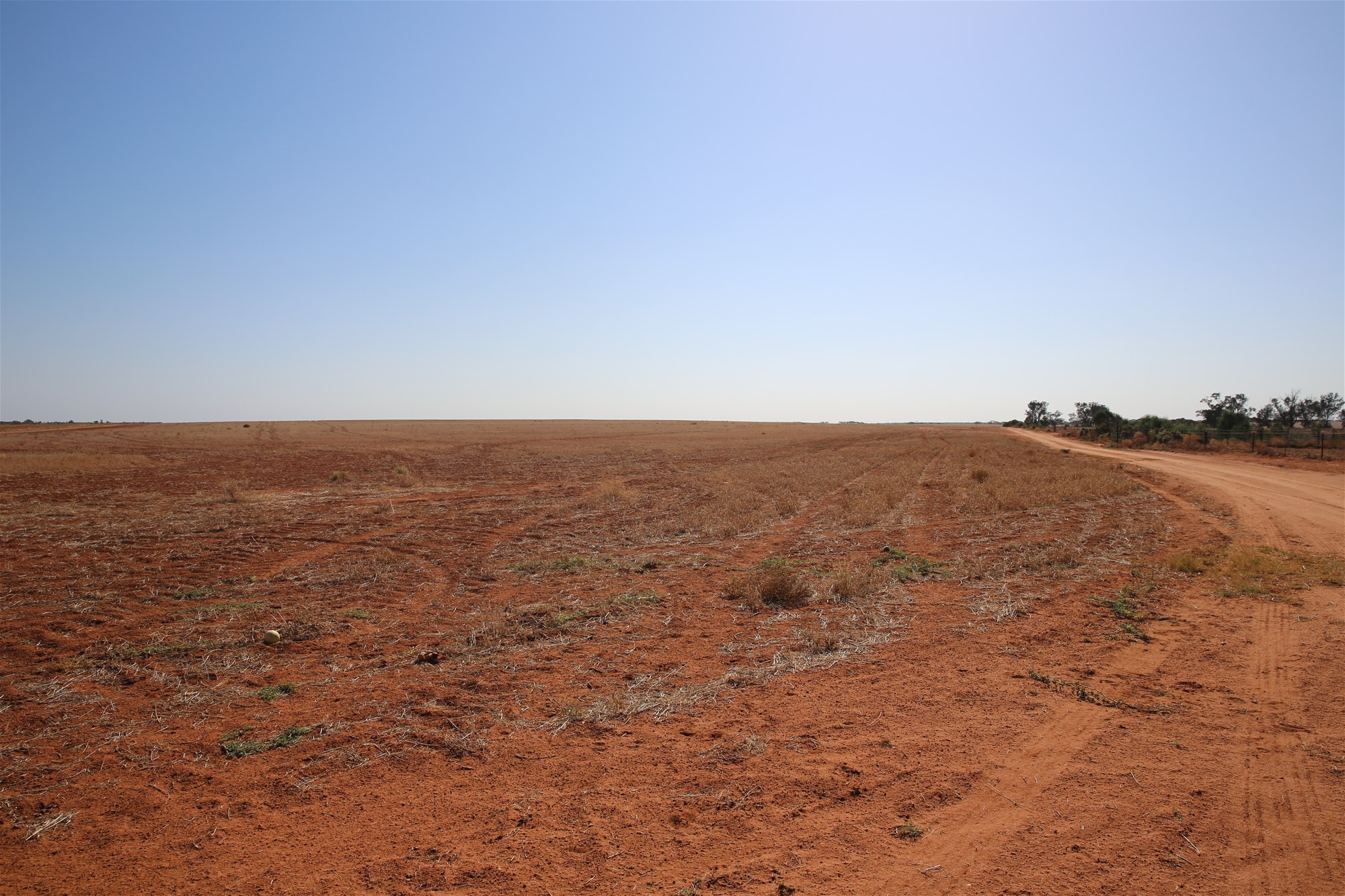 Monak For Sale by Farmbuy.com - image 12