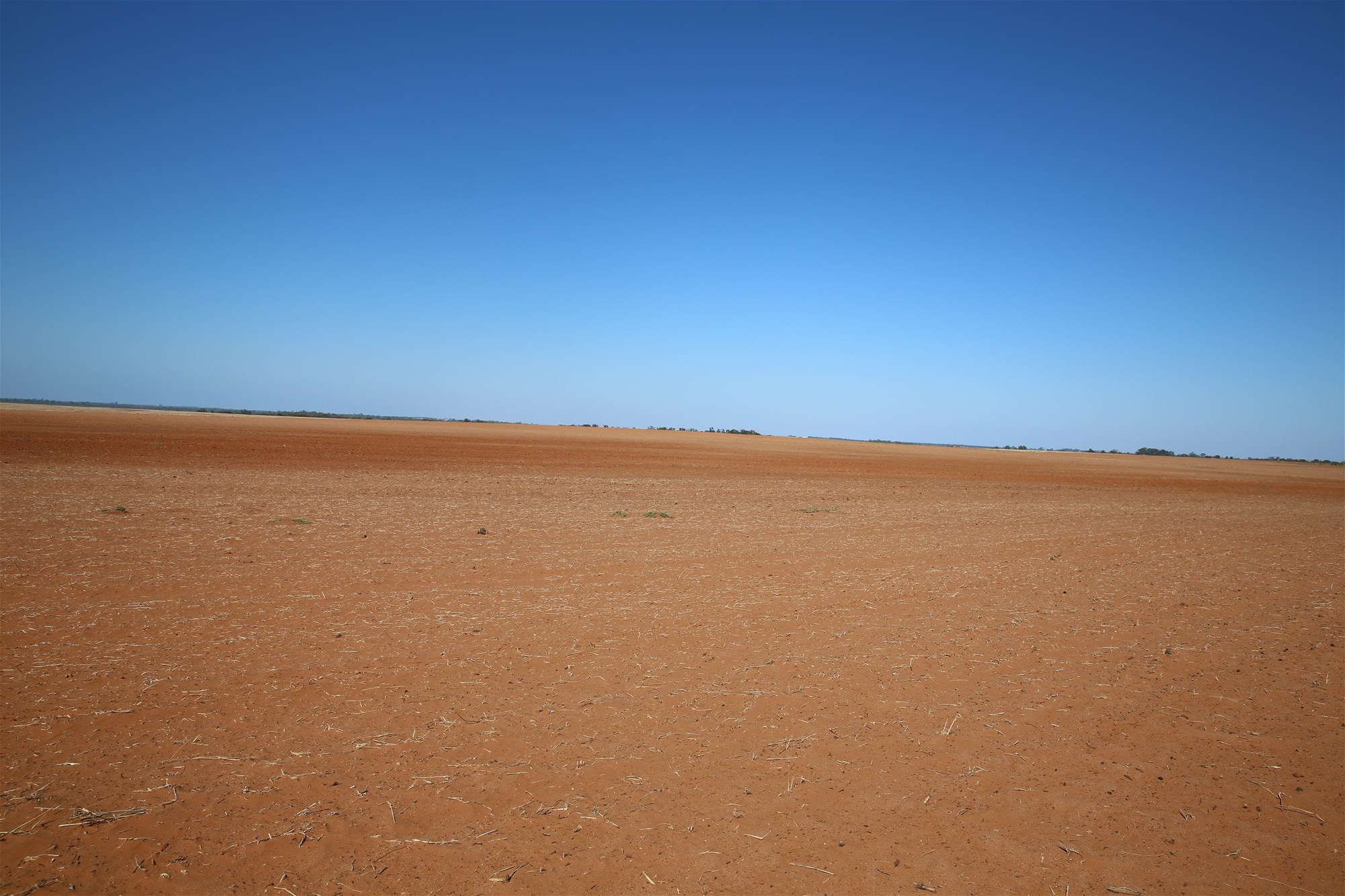 Monak For Sale by Farmbuy.com - image 13