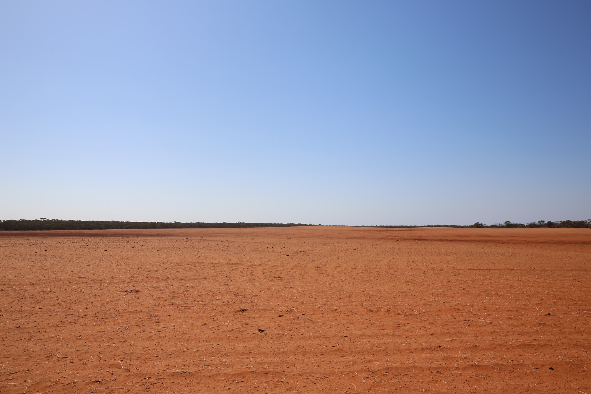 Monak For Sale by Farmbuy.com - image 14