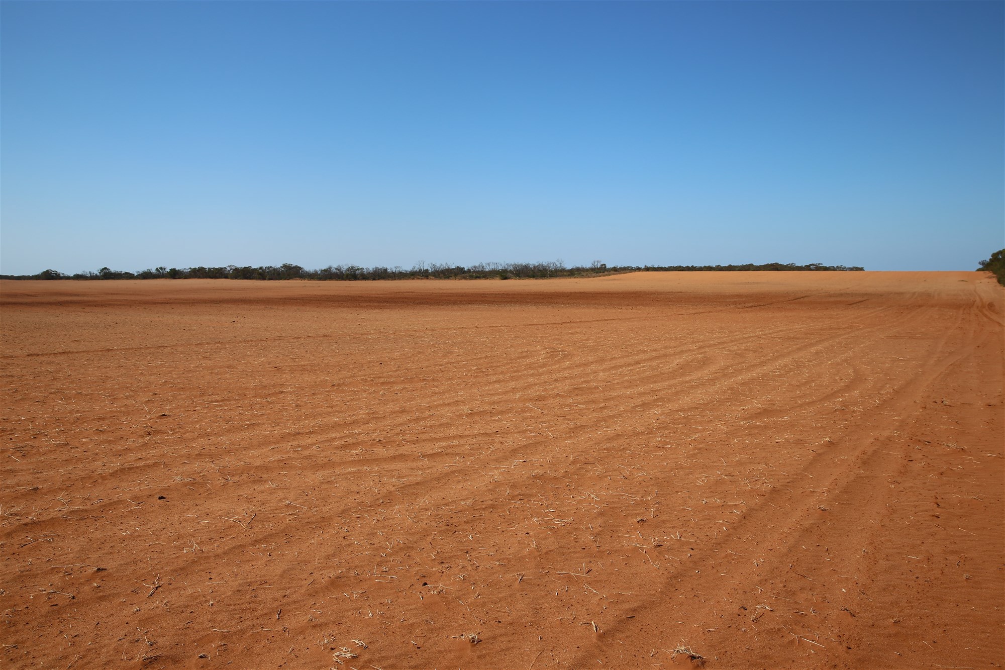 Monak For Sale by Farmbuy.com - image 15