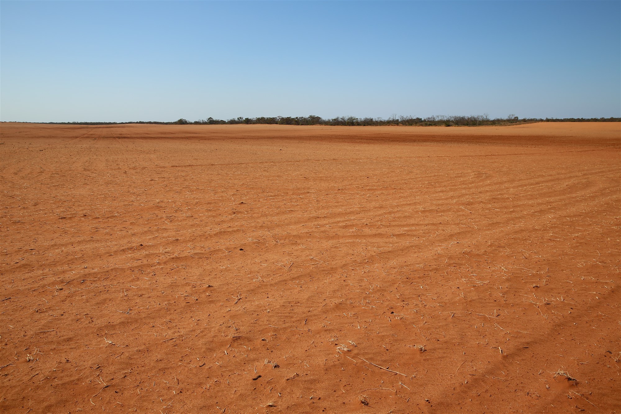 Monak For Sale by Farmbuy.com - image 16