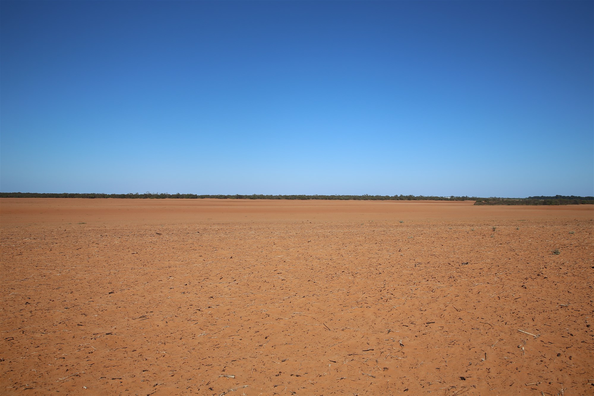 Monak For Sale by Farmbuy.com - image 17