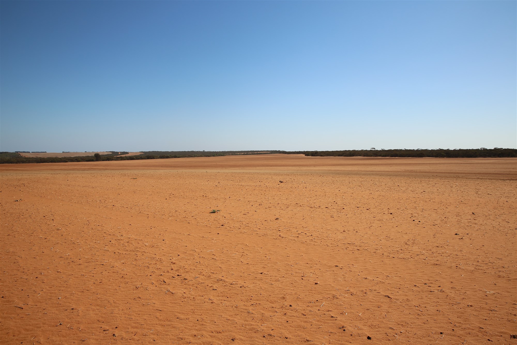 Monak For Sale by Farmbuy.com - image 18