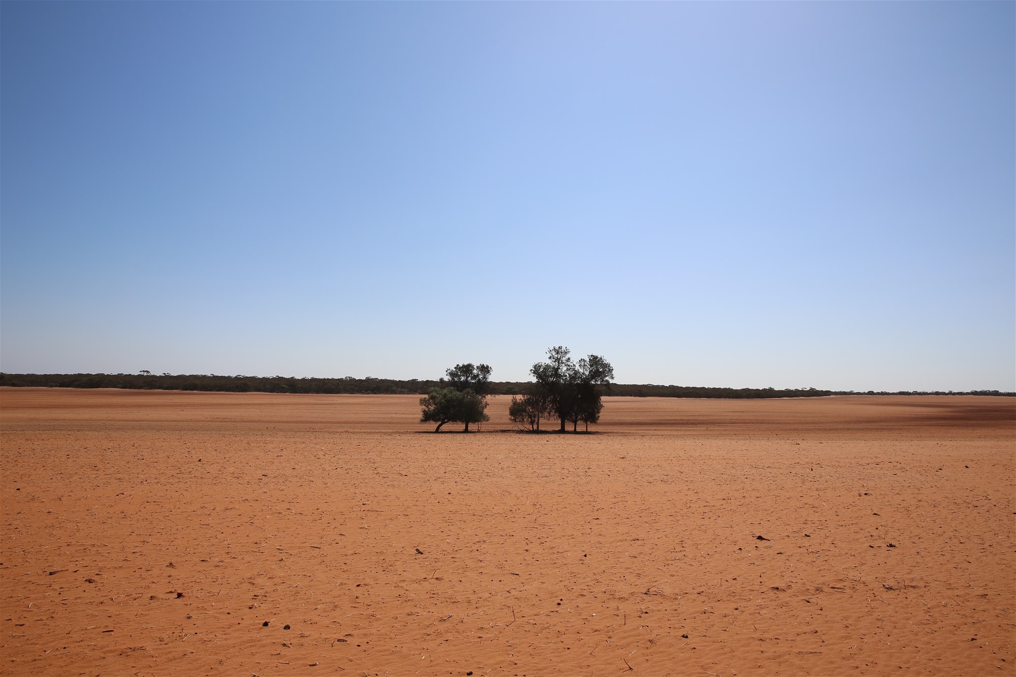 Monak For Sale by Farmbuy.com - image 19