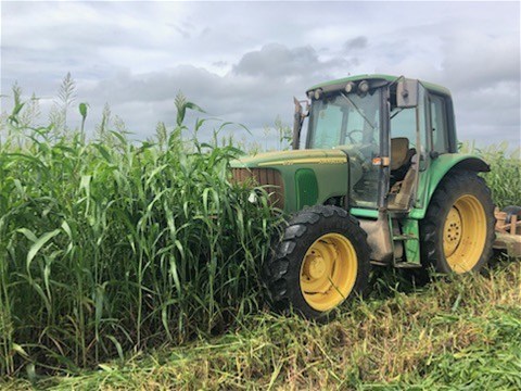 190 Riverview Road, Calavos For Sale by Farmbuy.com - image 8