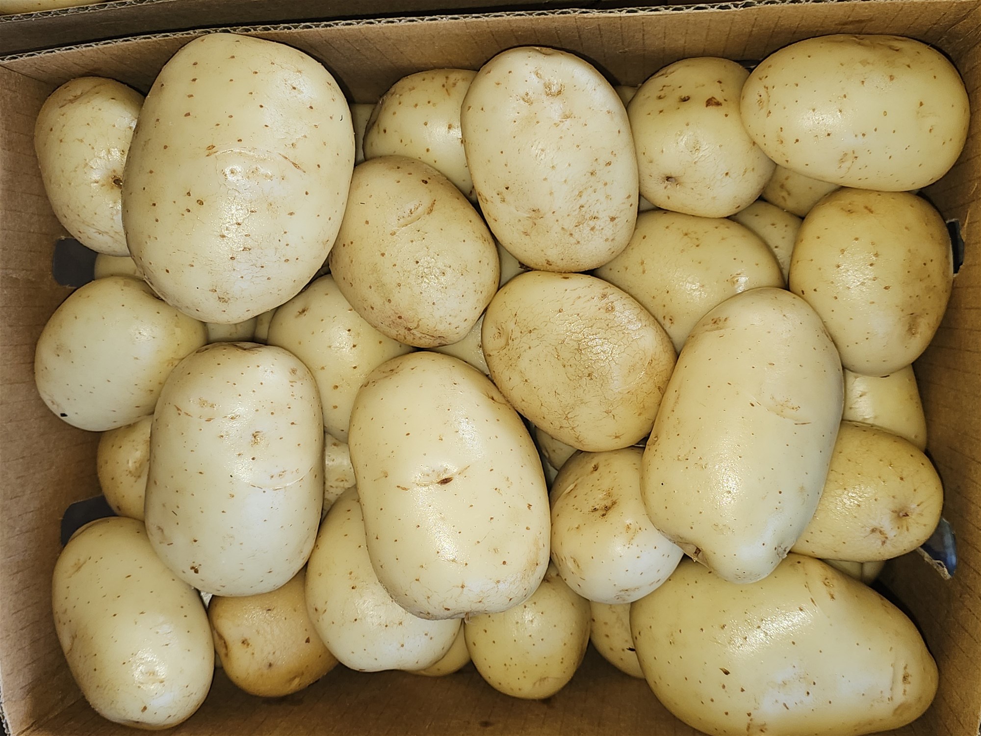 190 Riverview Road, Calavos For Sale by Farmbuy.com - image 17