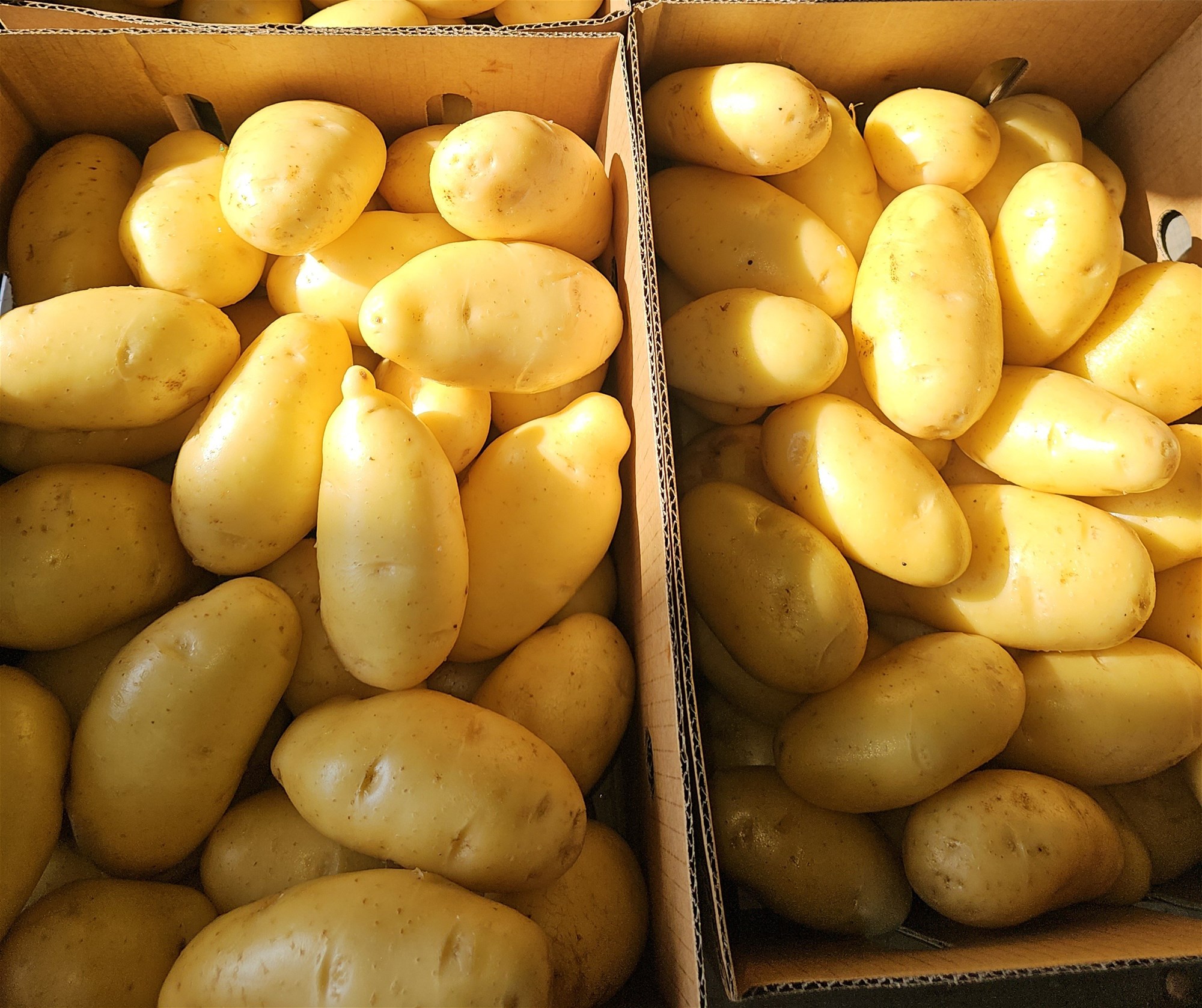 190 Riverview Road, Calavos For Sale by Farmbuy.com - image 19