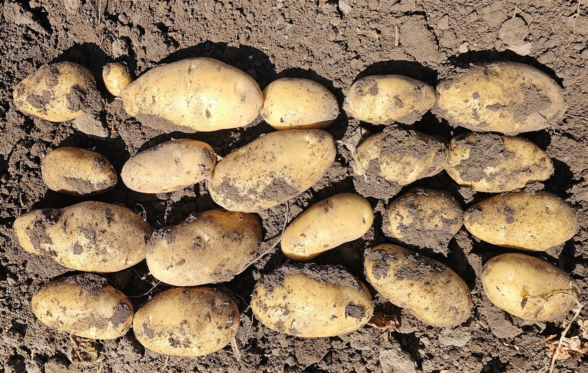 190 Riverview Road, Calavos For Sale by Farmbuy.com - image 20