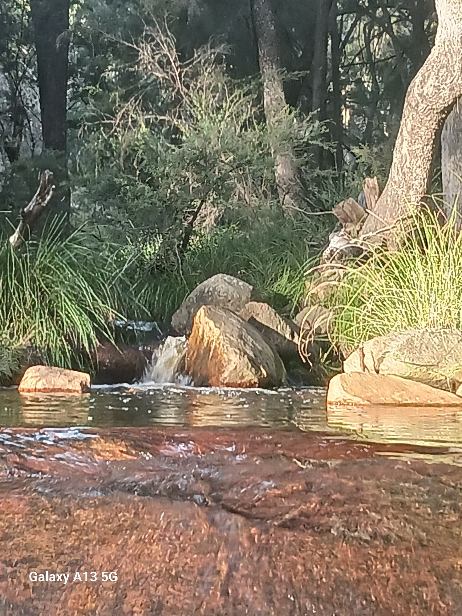 Tenterfield For Sale by Farmbuy.com - image 14