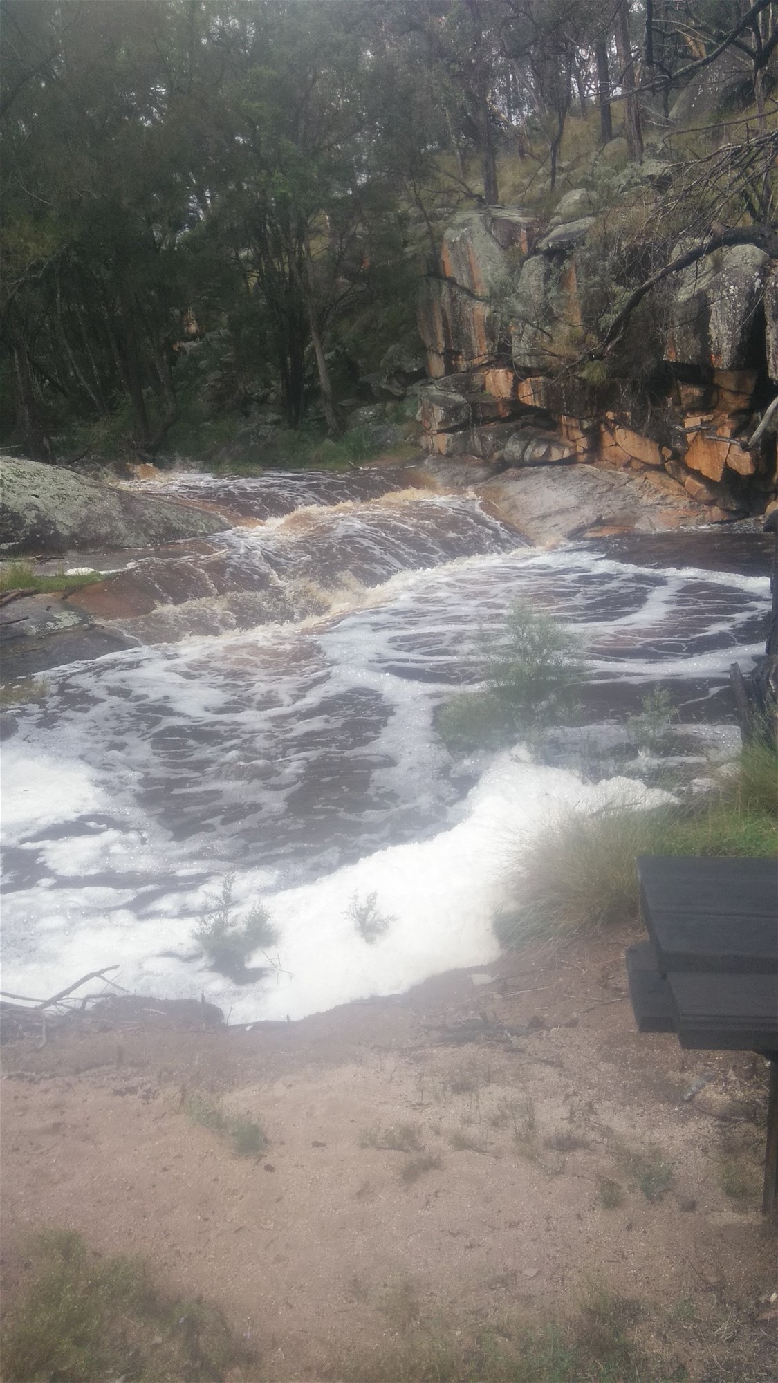 Tenterfield For Sale by Farmbuy.com - image 25