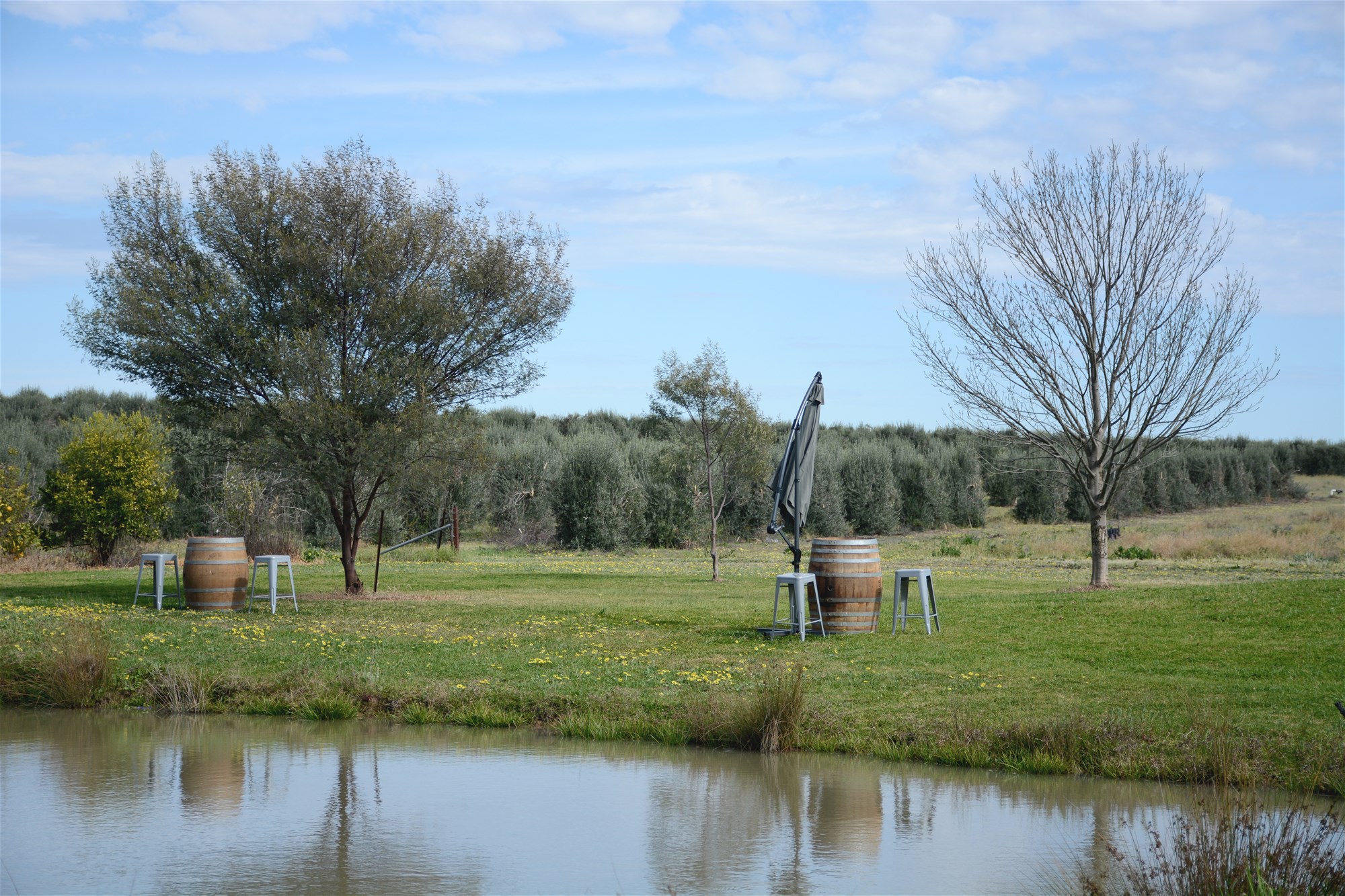 71 Kyola Road, Coleambally For Sale by Farmbuy.com - image 6