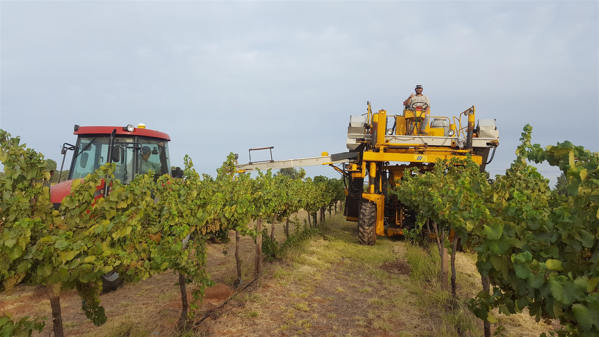 71 Kyola Road, Coleambally For Sale by Farmbuy.com - image 7