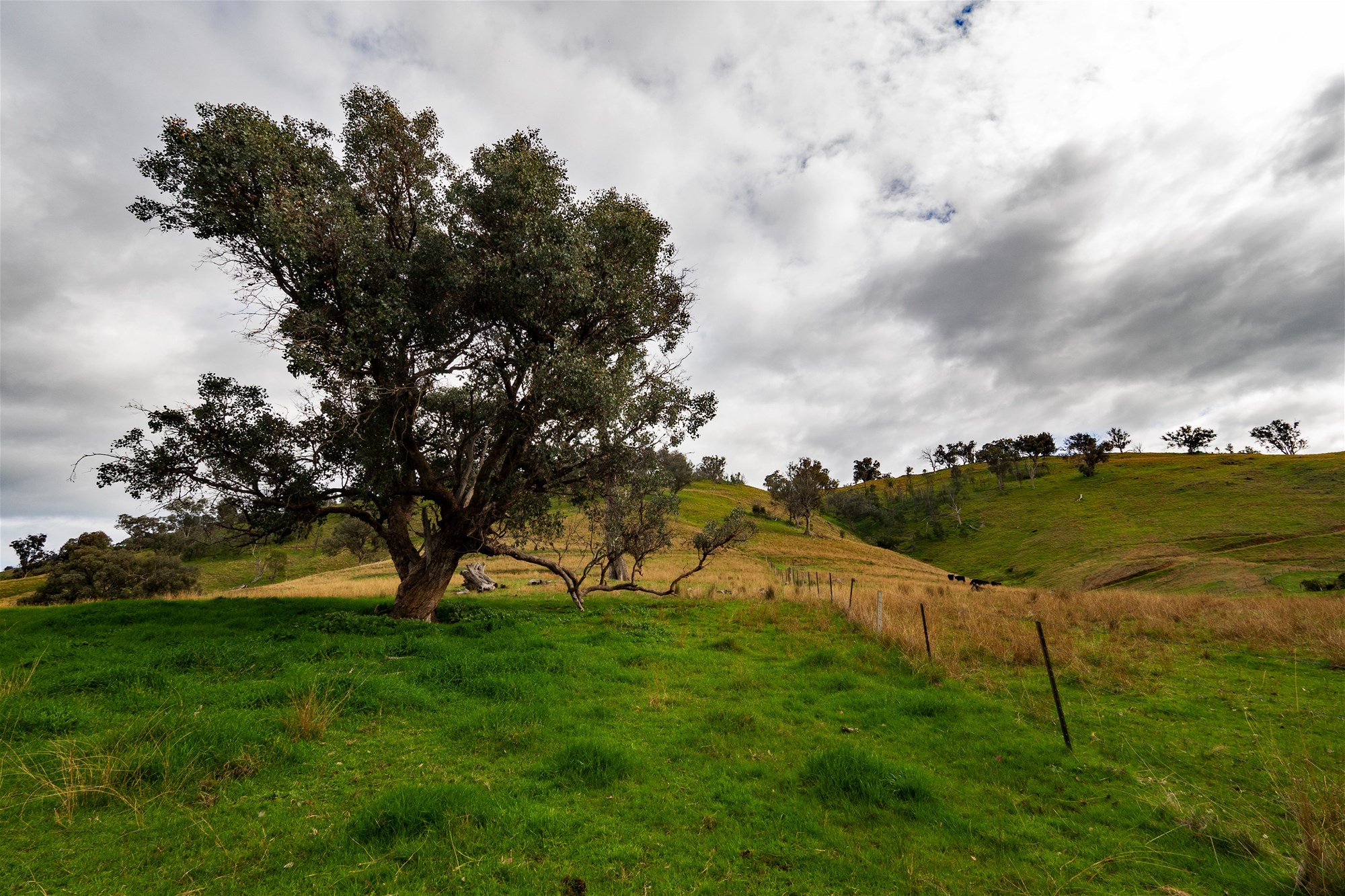 3071 Murray Valley Highway, Ebden For Sale by Farmbuy.com - image 15