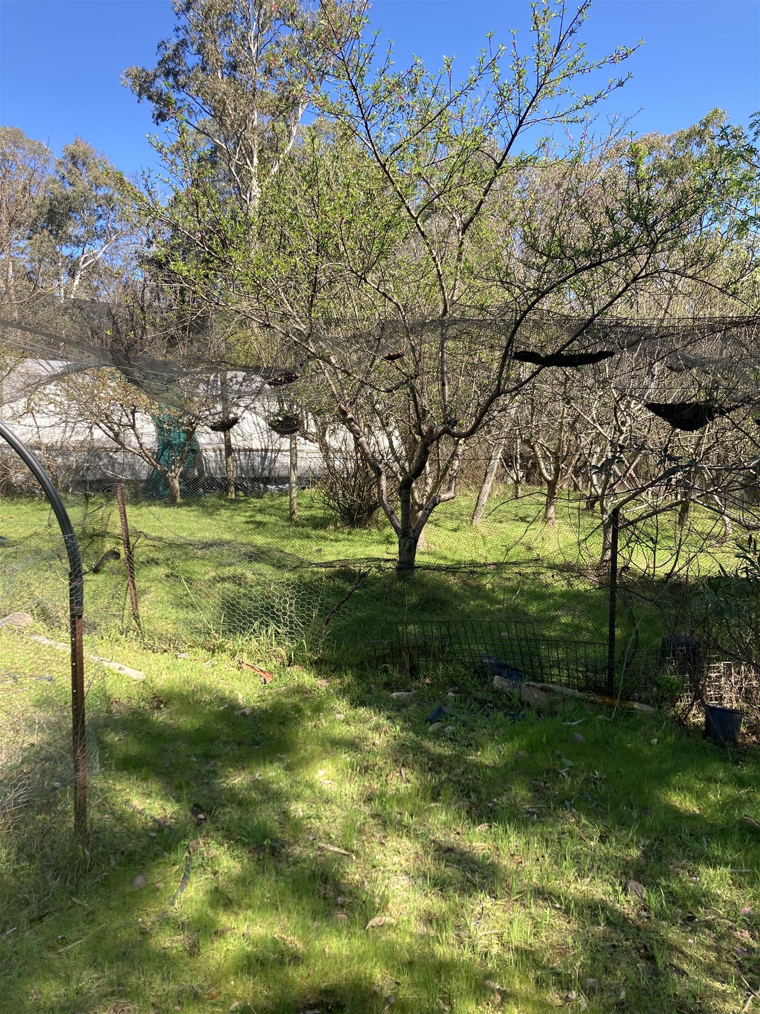 138 Elliot Road, Valencia Creek For Sale by Farmbuy.com - image 16