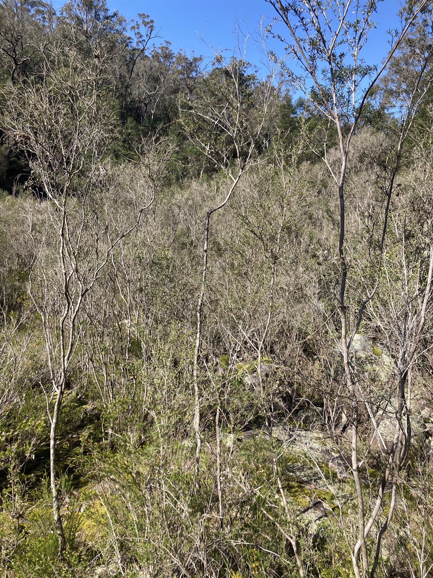 138 Elliot Road, Valencia Creek For Sale by Farmbuy.com - image 22