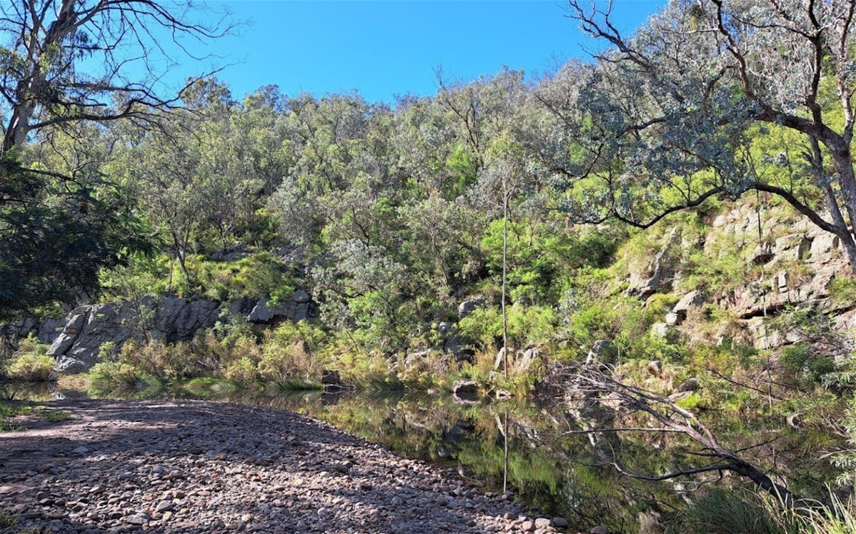 138 Elliot Road, Valencia Creek For Sale by Farmbuy.com - image 29