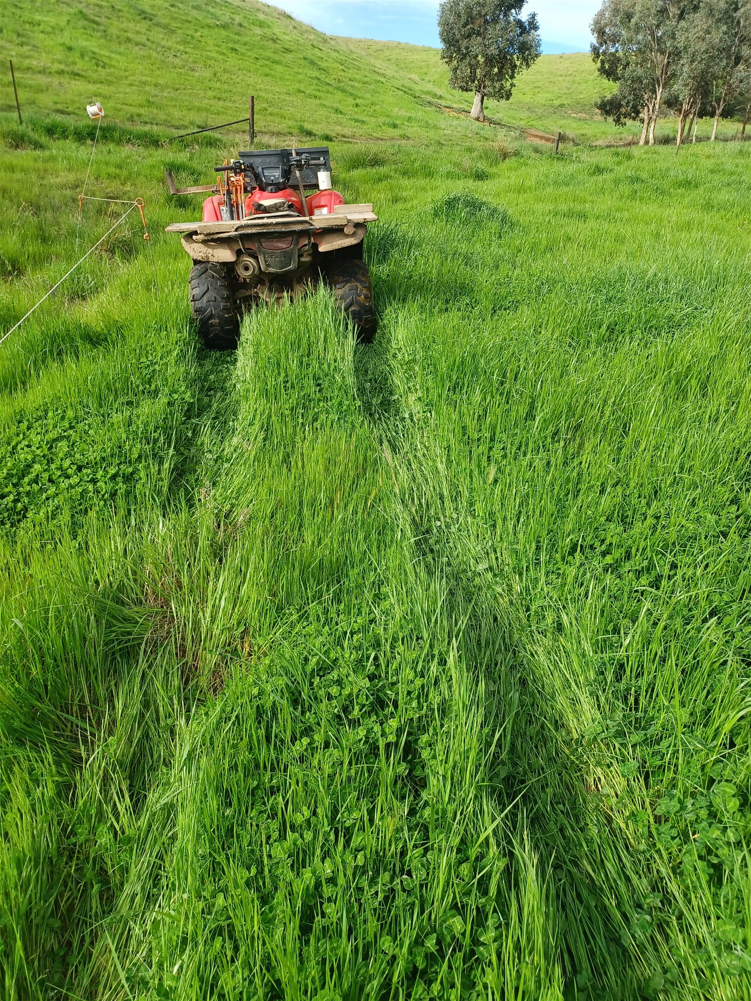 3924 Hume Highway, Tarcutta For Sale by Farmbuy.com - image 6