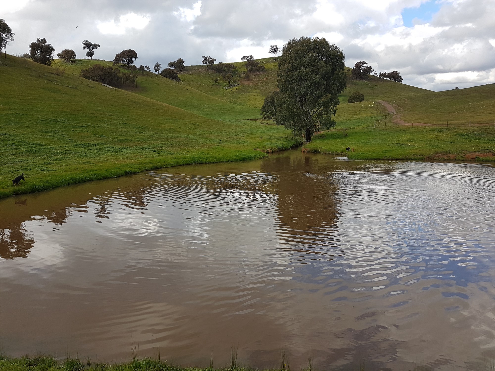 3924 Hume Highway, Tarcutta For Sale by Farmbuy.com - image 9