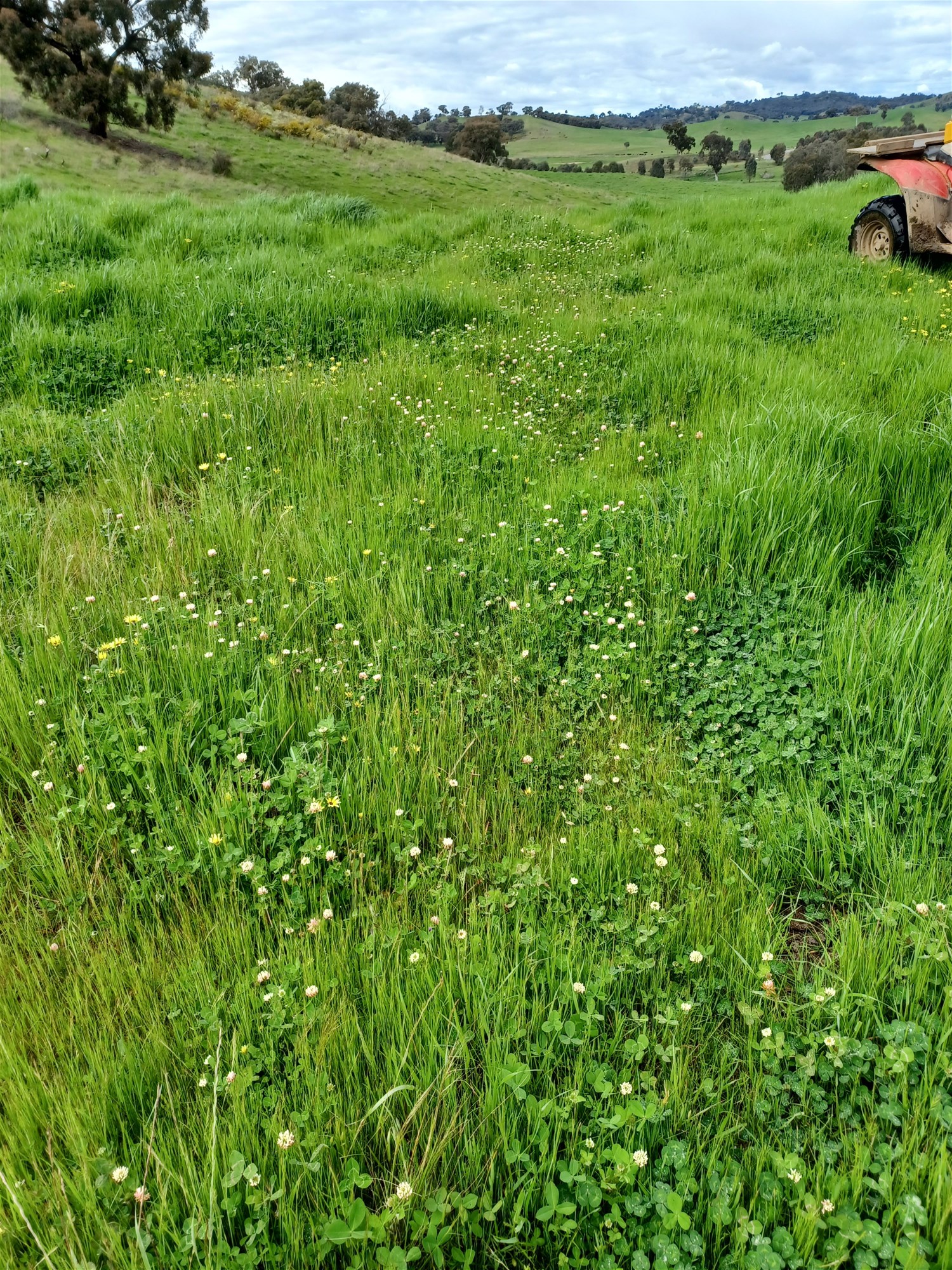 3924 Hume Highway, Tarcutta For Sale by Farmbuy.com - image 13