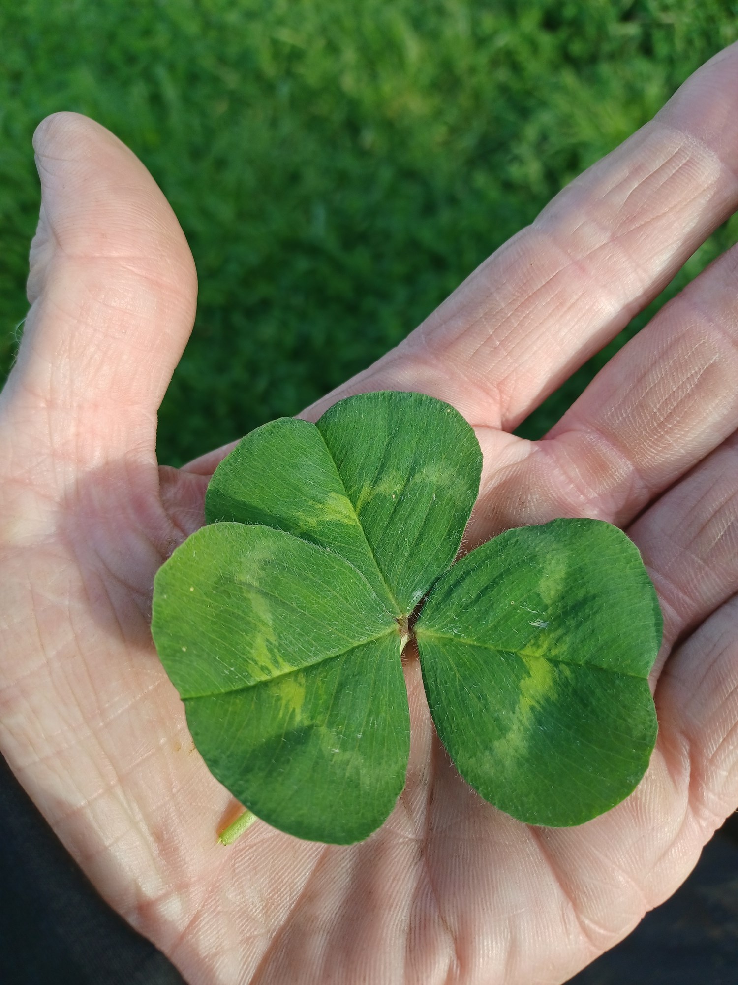 3924 Hume Highway, Tarcutta For Sale by Farmbuy.com - image 16