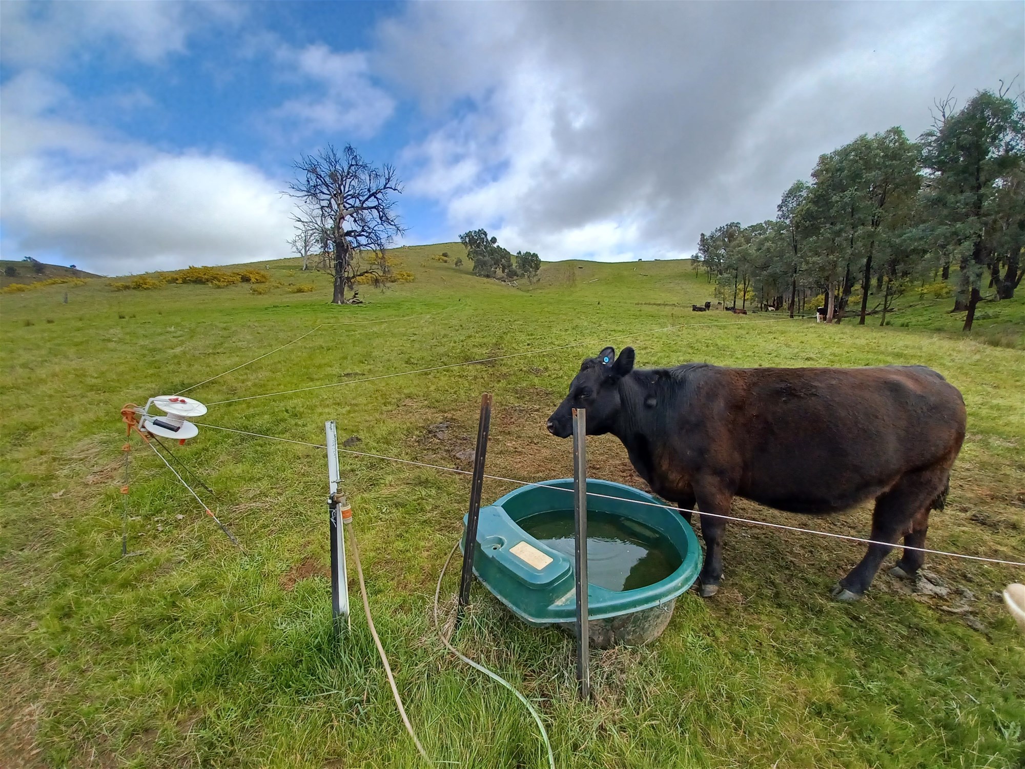 3924 Hume Highway, Tarcutta For Sale by Farmbuy.com - image 17