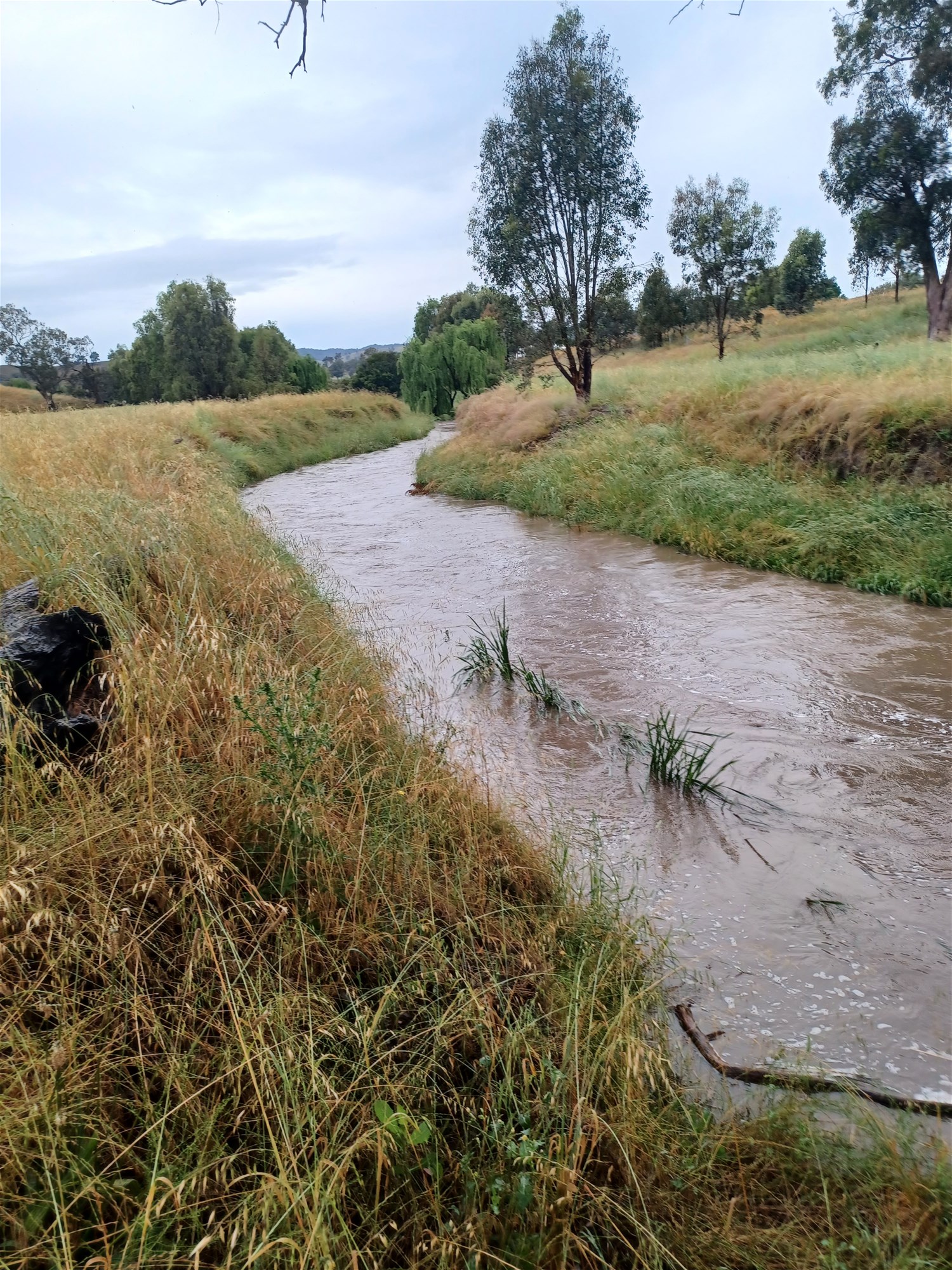 3924 Hume Highway, Tarcutta For Sale by Farmbuy.com - image 19