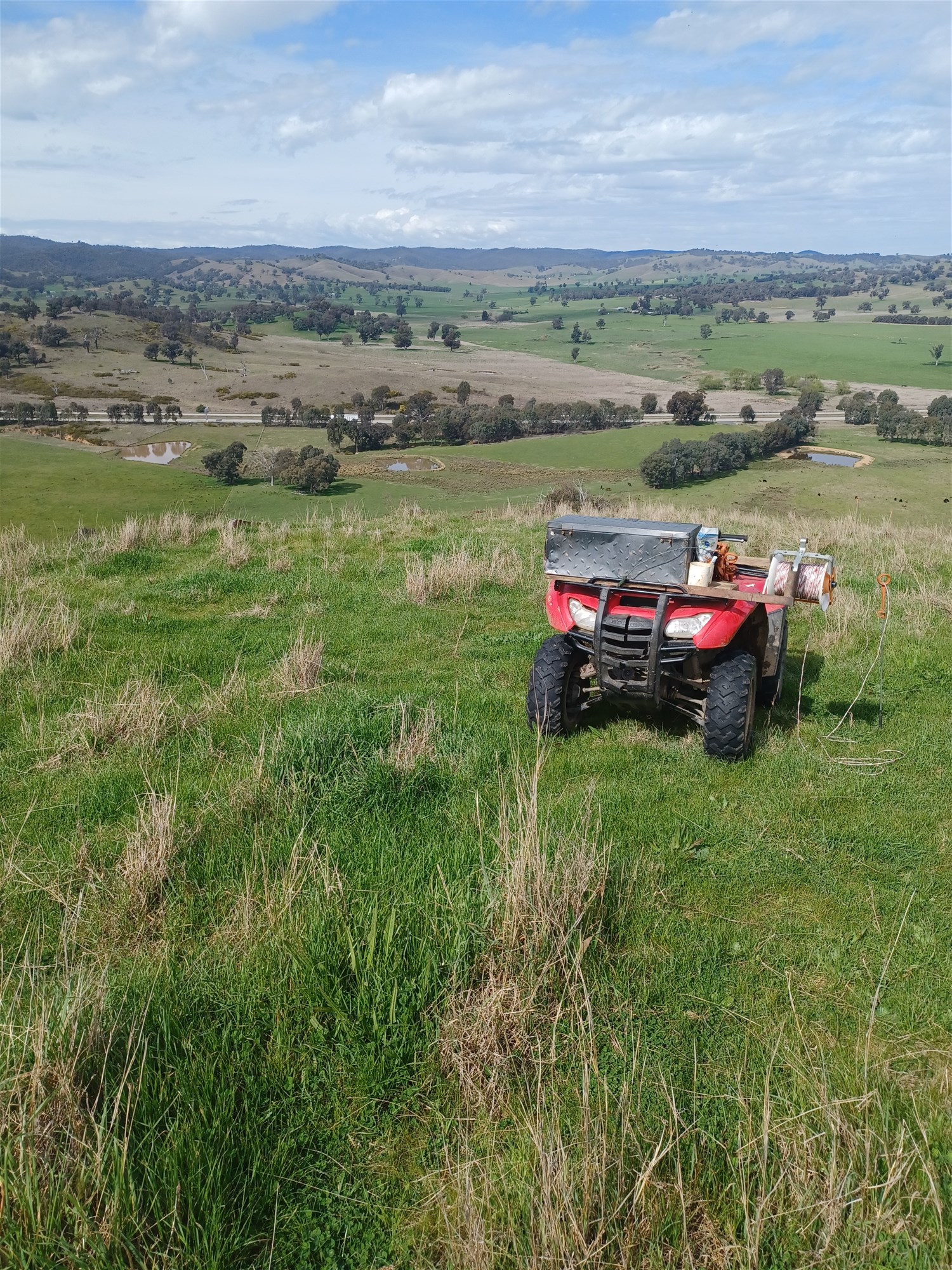 3924 Hume Highway, Tarcutta For Sale by Farmbuy.com - image 21