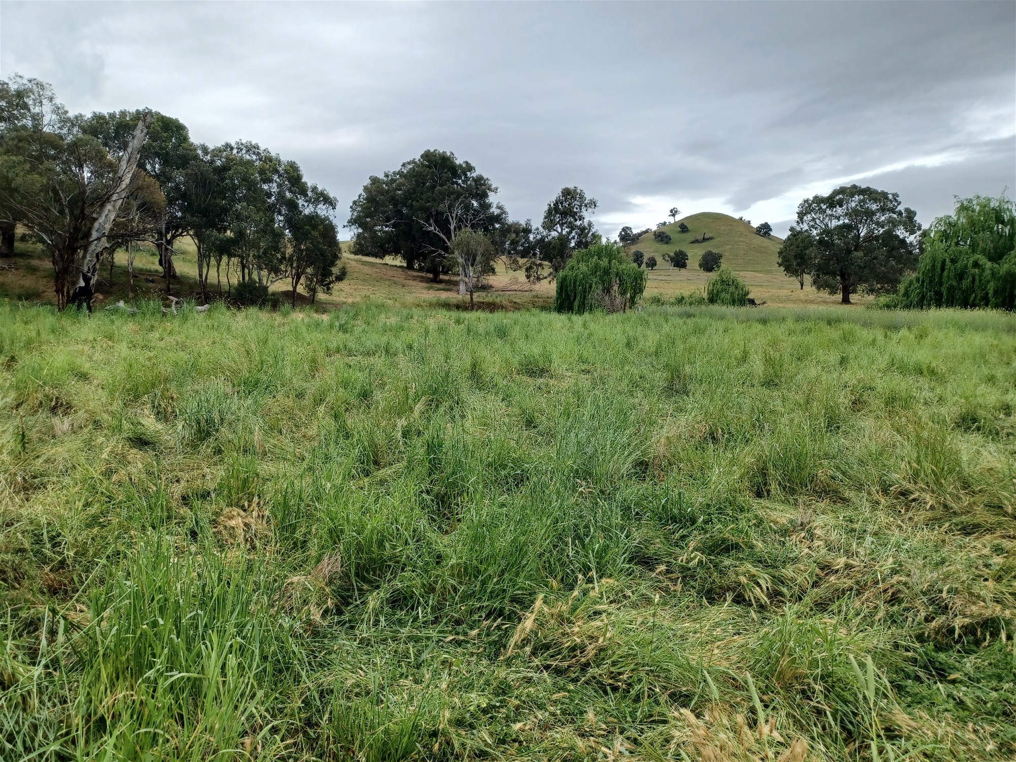 3924 Hume Highway, Tarcutta For Sale by Farmbuy.com - image 23