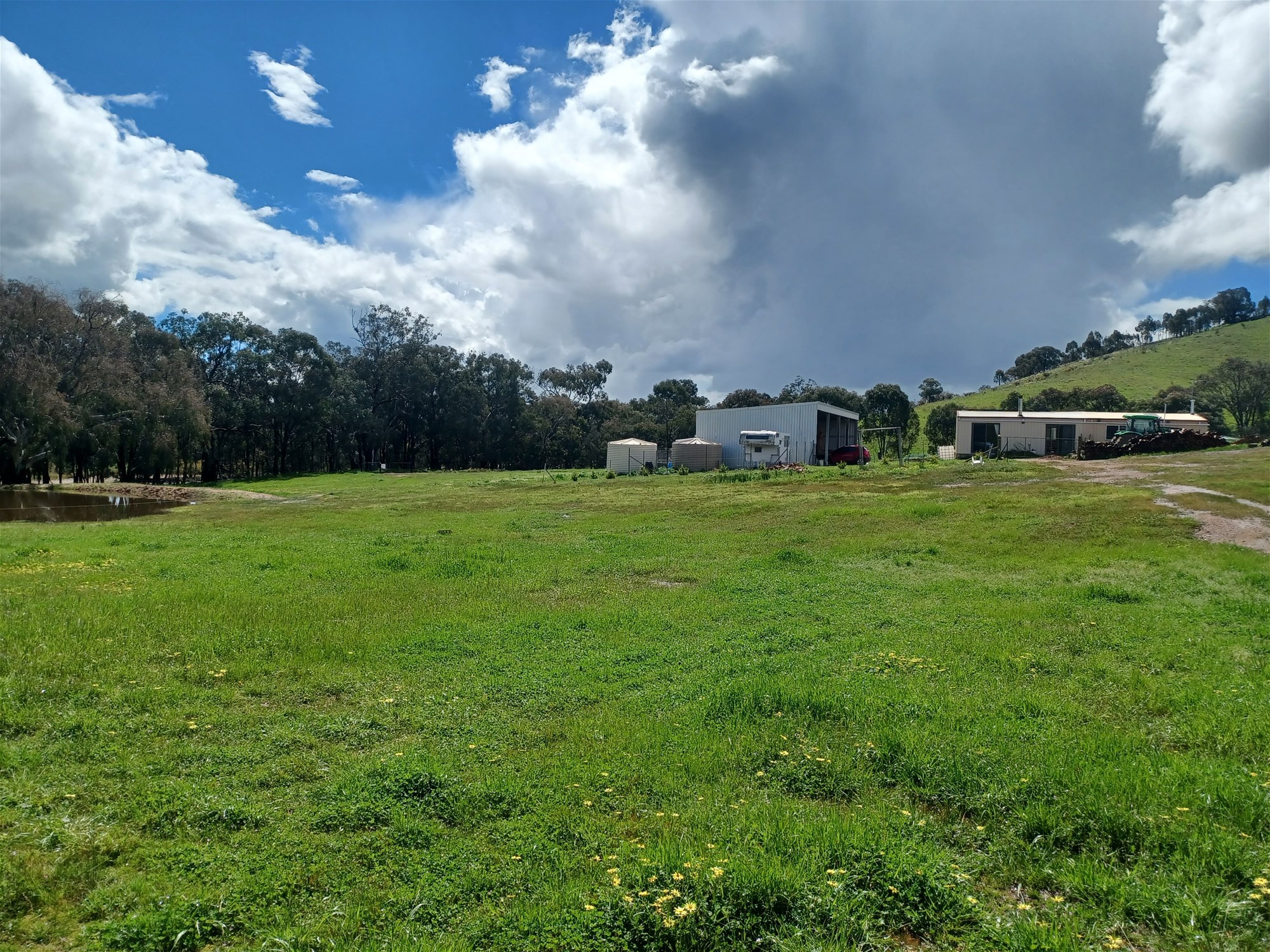 3924 Hume Highway, Tarcutta For Sale by Farmbuy.com - image 24