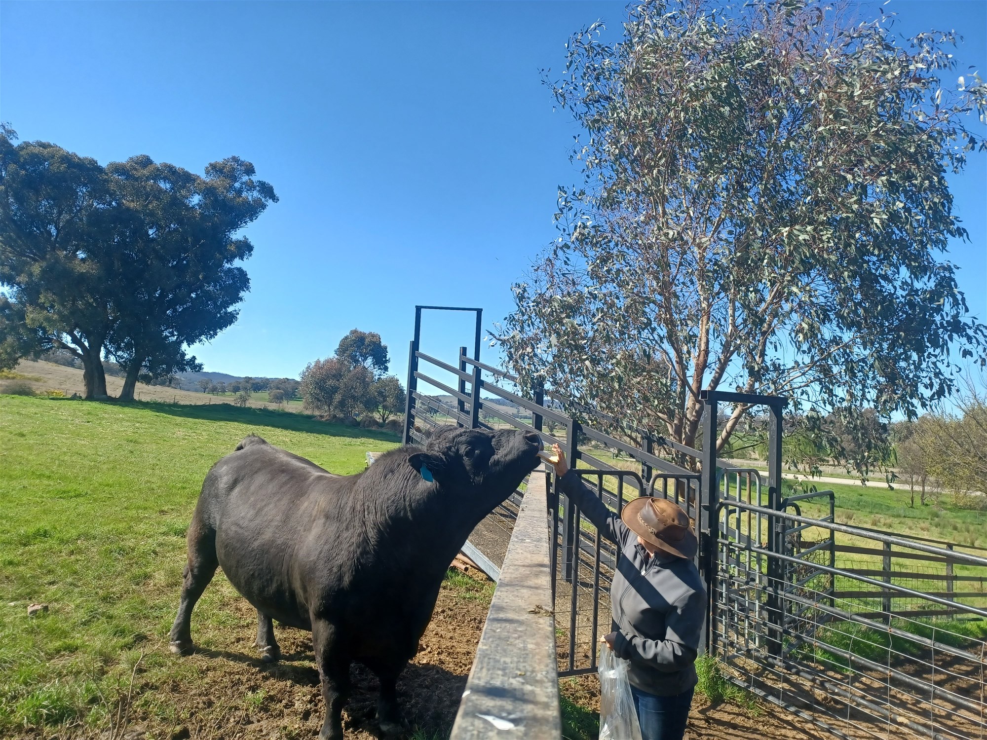 3924 Hume Highway, Tarcutta For Sale by Farmbuy.com - image 30