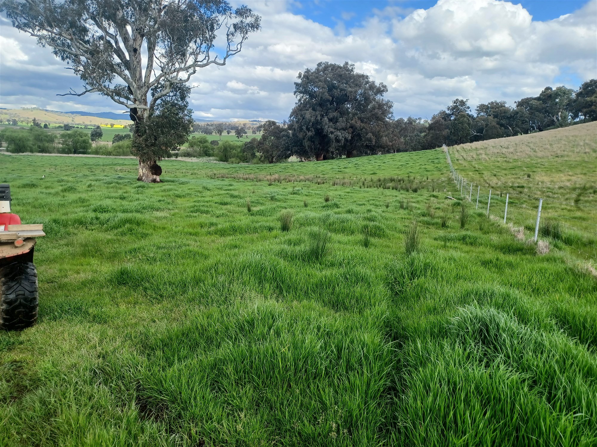 3924 Hume Highway, Tarcutta For Sale by Farmbuy.com - image 35