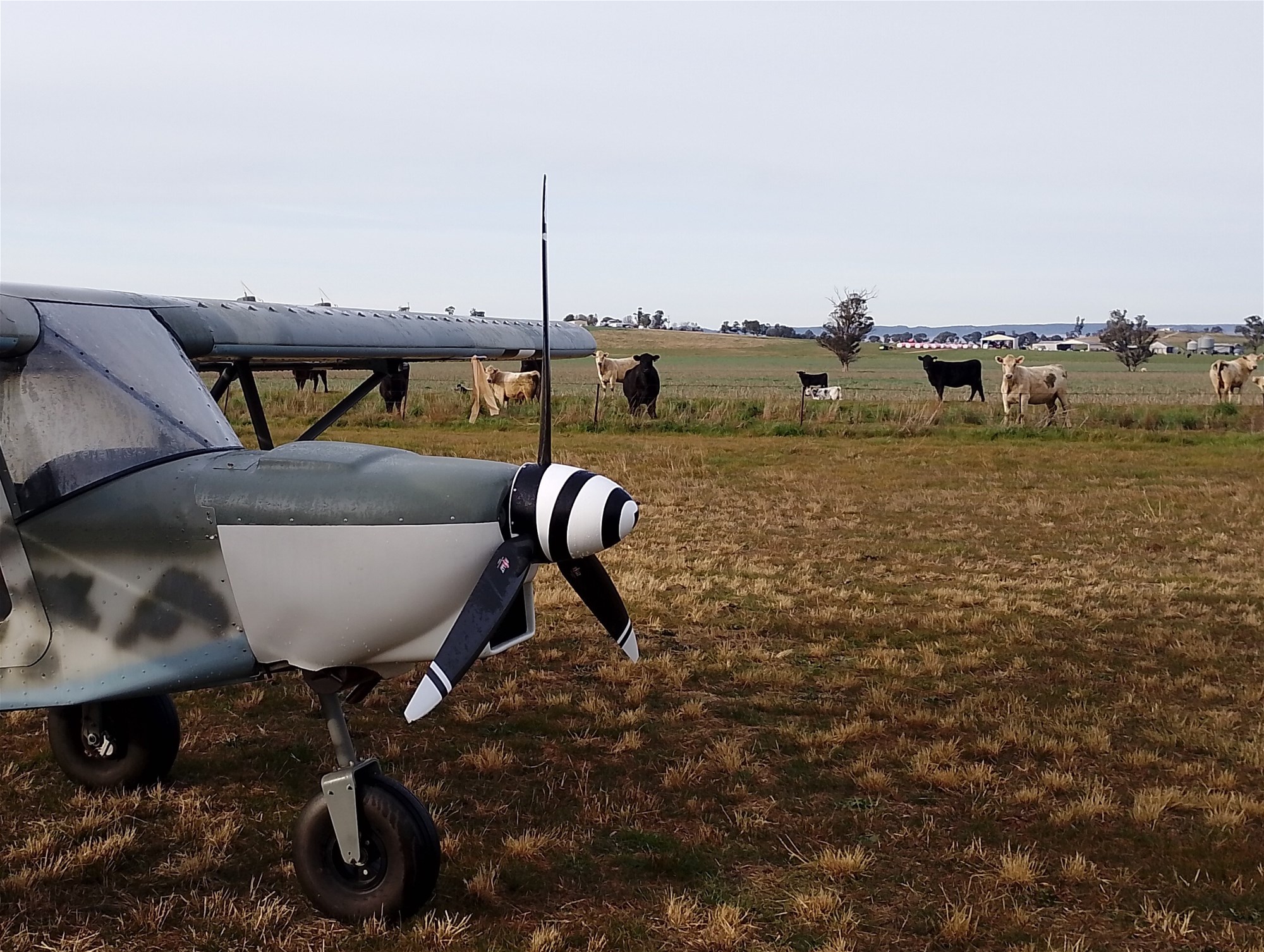 14317 Golden Highway, Dunedoo For Sale by Farmbuy.com - image 3