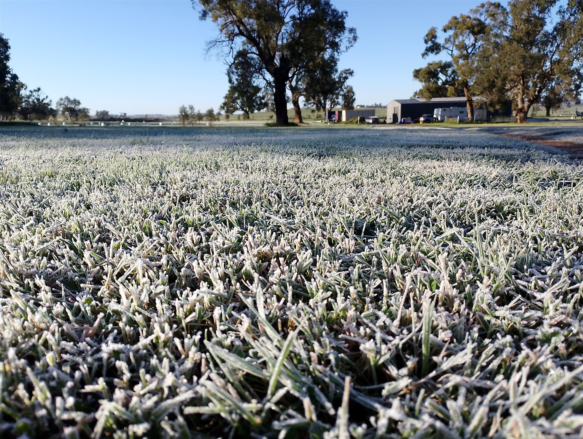 14317 Golden Highway, Dunedoo For Sale by Farmbuy.com - image 6