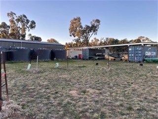 14317 Golden Highway, Dunedoo For Sale by Farmbuy.com - image 8