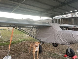 14317 Golden Highway, Dunedoo For Sale by Farmbuy.com - image 17