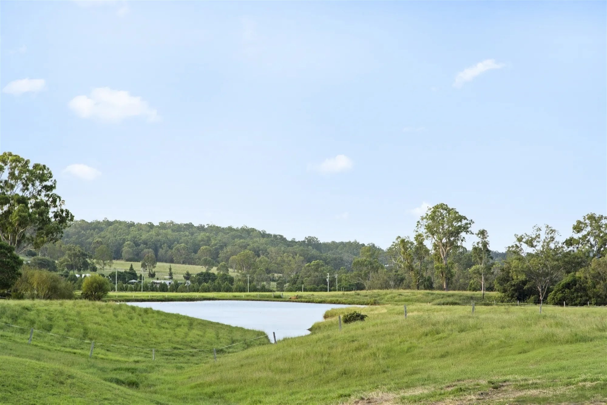 611 Biddaddaba Creek Road, Biddaddaba For Sale by Farmbuy.com - image 24