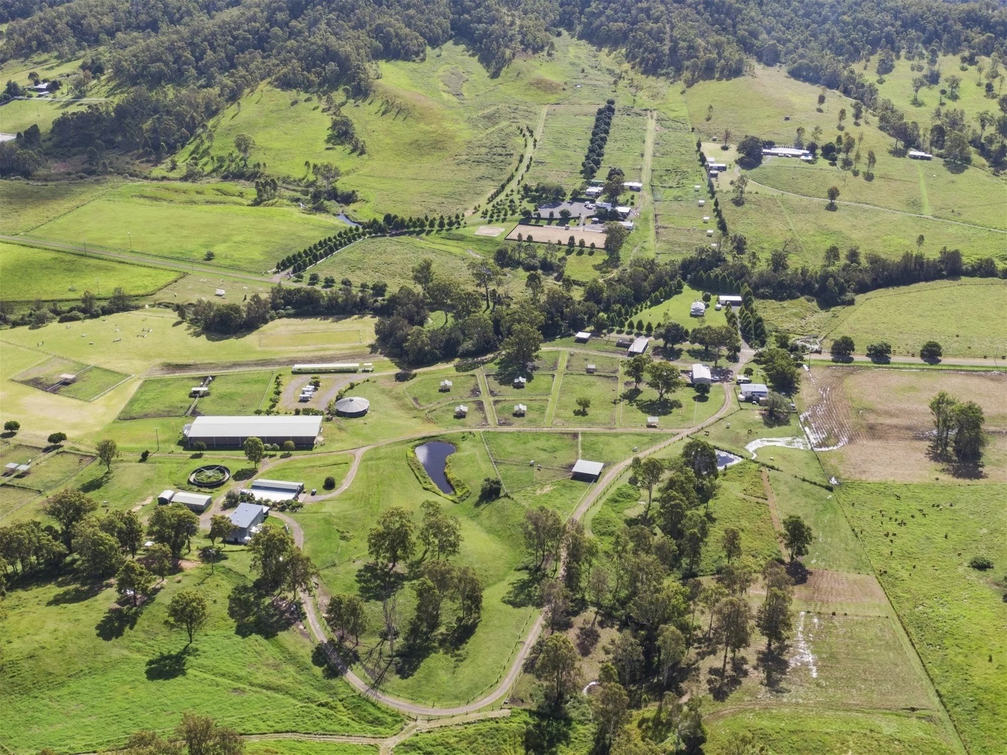 611 Biddaddaba Creek Road, Biddaddaba For Sale by Farmbuy.com - image 28