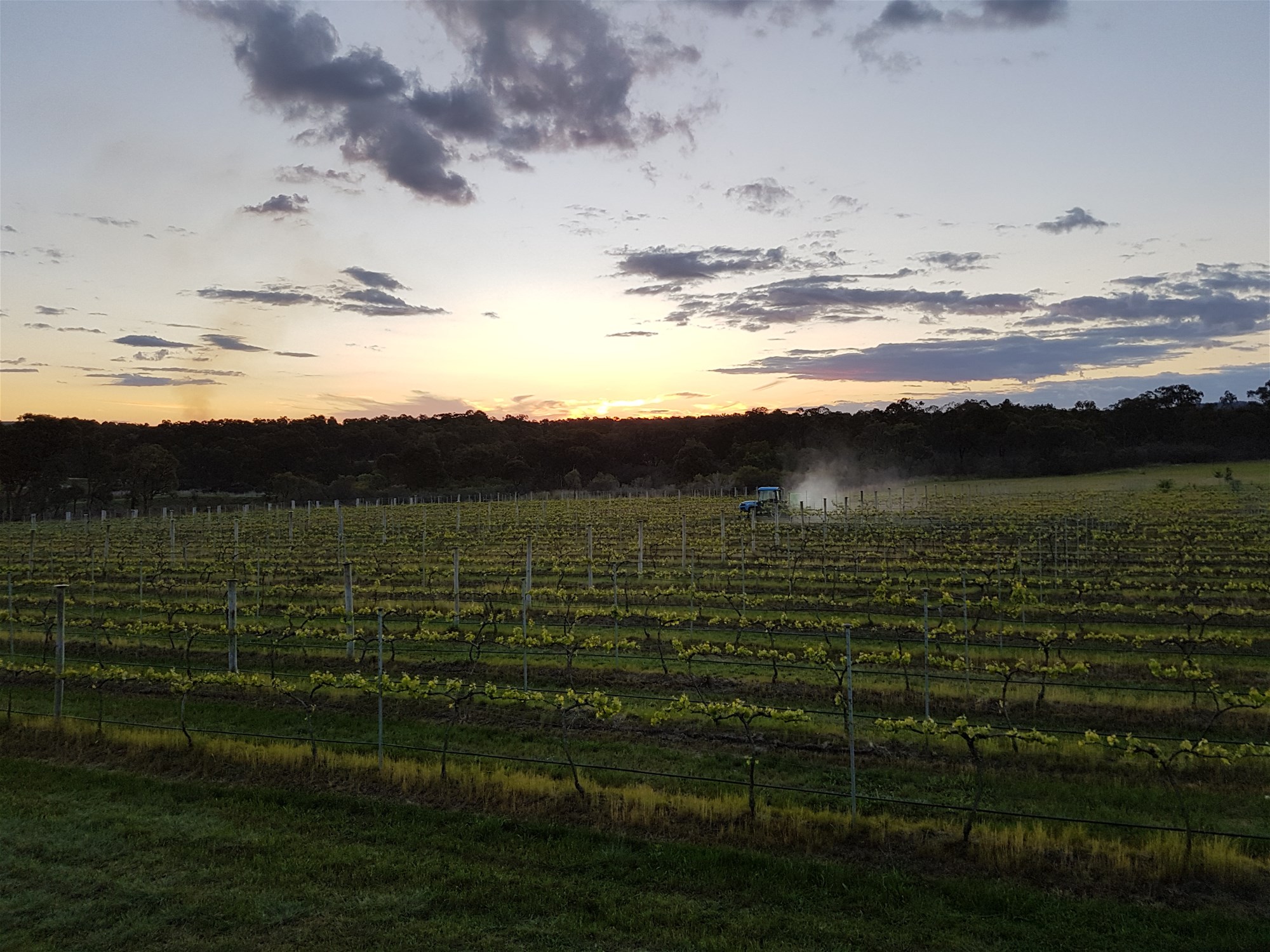 269 Jimmy Mann Road, Broadwater For Sale by Farmbuy.com - image 18