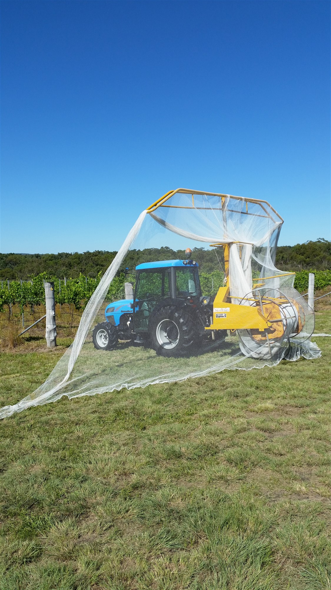 269 Jimmy Mann Road, Broadwater For Sale by Farmbuy.com - image 22