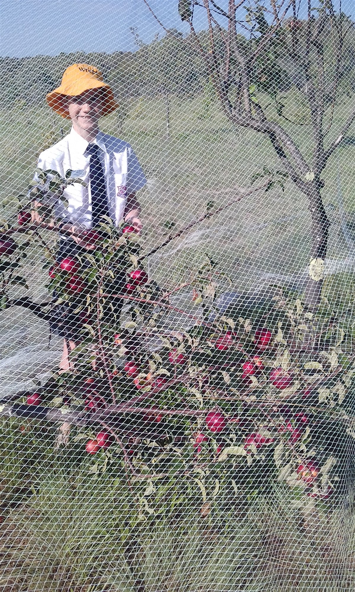 269 Jimmy Mann Road, Broadwater For Sale by Farmbuy.com - image 24