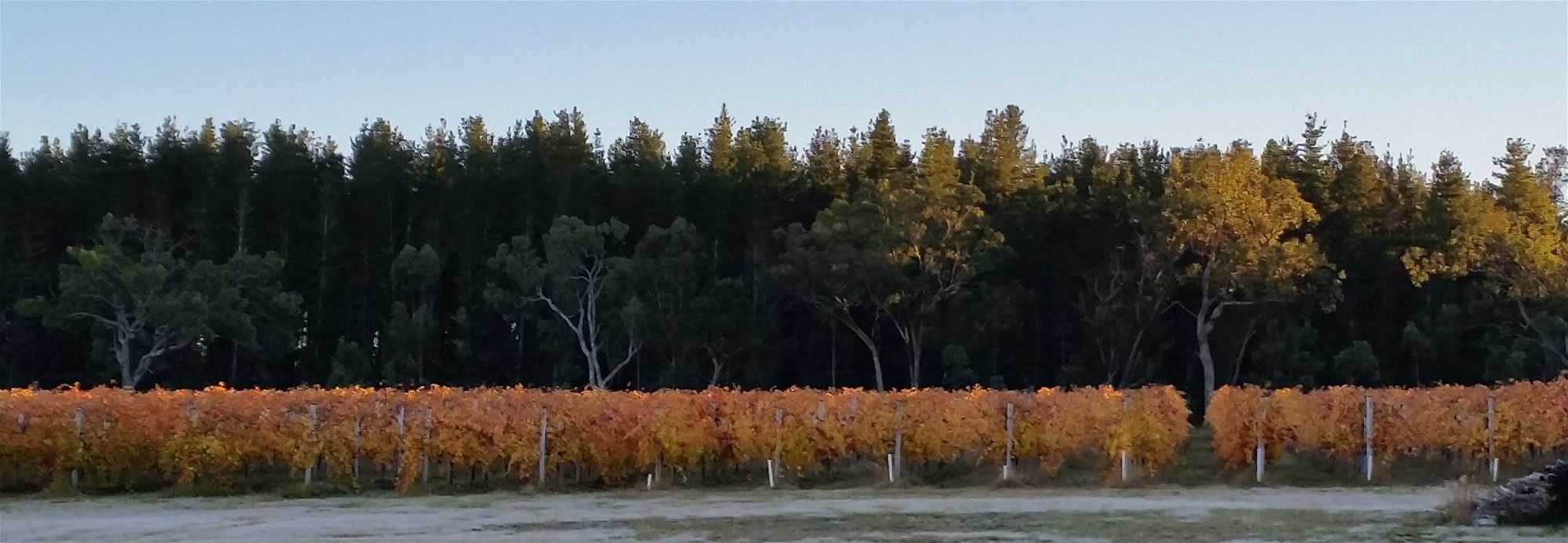 269 Jimmy Mann Road, Broadwater For Sale by Farmbuy.com - image 27