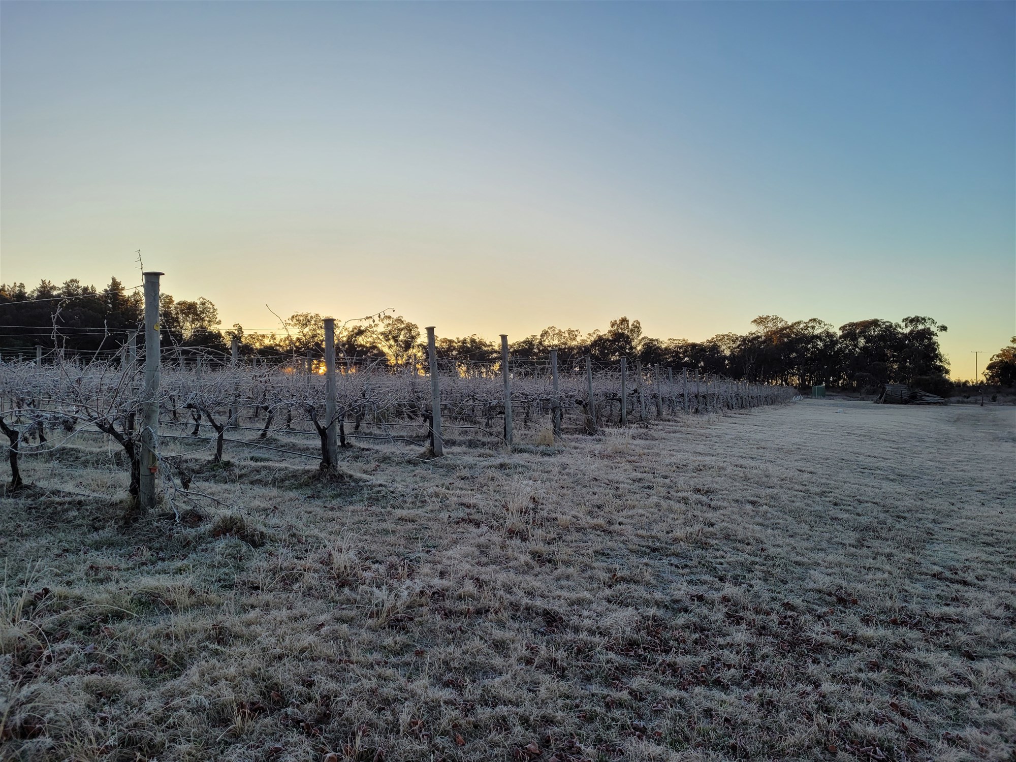 269 Jimmy Mann Road, Broadwater For Sale by Farmbuy.com - image 28