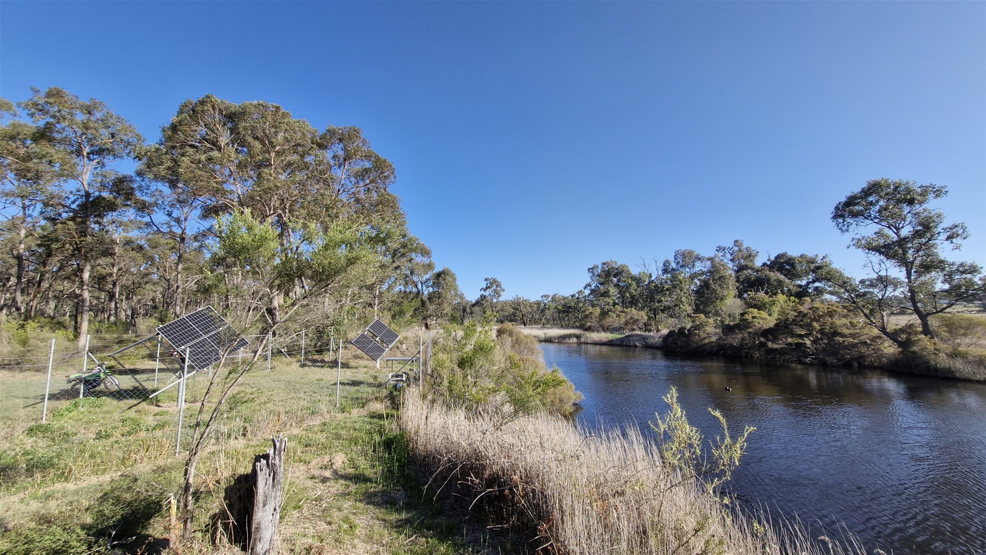 269 Jimmy Mann Road, Broadwater For Sale by Farmbuy.com - image 29