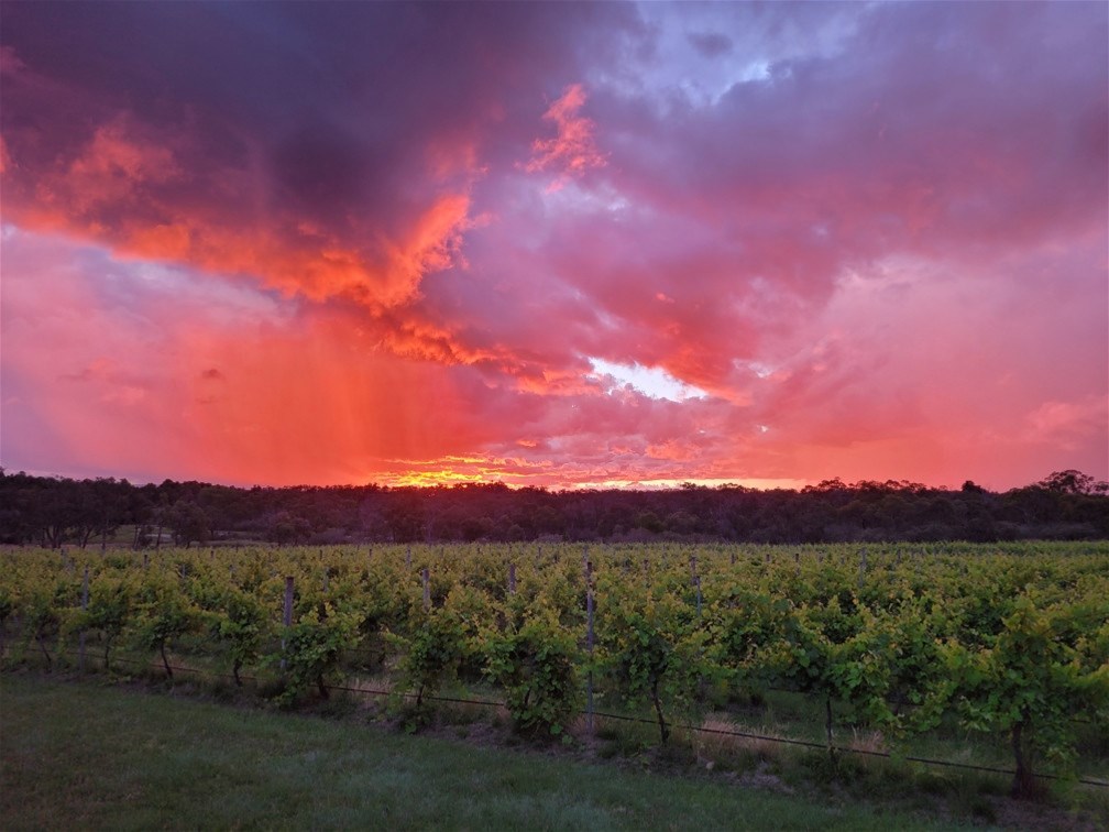 269 Jimmy Mann Road, Broadwater For Sale by Farmbuy.com - image 31